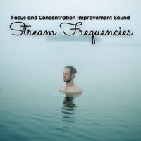 Correctable Attentiveness - Nature Sounds Nature Music & Nature Vibrations & Nature Recordings