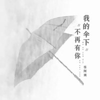 我的伞下不再有你 - 怪阿姨