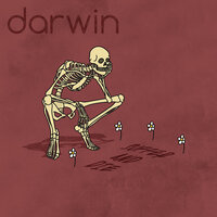 Suffer and Die - Darwin