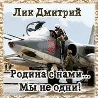 Родина с нами... Мы не одни! - Дмитрий Лик