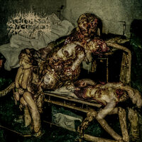 Sterilant Abuse - Horse Butcher