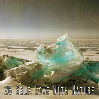 Безмятежный лес - Sleep Songs with Nature Sounds