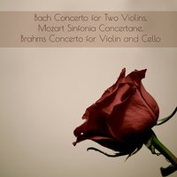 Concerto for Violin and Cello in A Minor, Op. 102: I. Allegro - RCA Victor Symphony Orchestra & Jascha Heifetz & Gregor Piatigorsky & Alfred Wallenstein & Иоганнес Брамс