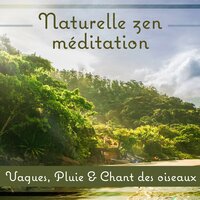 Plexus solaire (Manipura) - Aide au Sommeil Académie