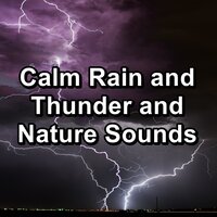 Quiet Rain and Thunder For Quiet Nights For Babies to Sleep - Spa Music & Spa & Spa Relax Music