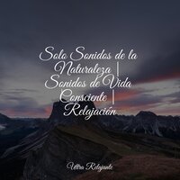 Relajación De Sol De Primavera - Relajantes sonidos de lluvia & Naturaleza Relajacion & Natureza Musica Bem-Estar Academia