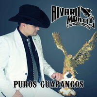 El Guapanguero - Alvaro Montes y Su Aguila Norteña