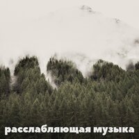 Ambiance and Sounds of a Typical Summer Night in the Country Side - Музыка для медитации & Расслабляющая музыка & Дзен-Музыка