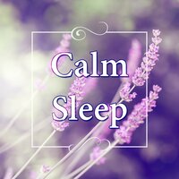 Zone Out to Hypnotic - Deep Sleep Music Society