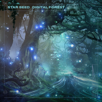 Don't Forget - Star Seed & Vaance