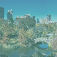 Outstanding Ambience for Central Park - New York City Jazz Bgm