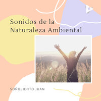Binaural siesta - Soñoliento Juan