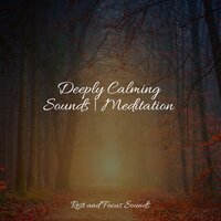 Nightshift - Yoga Sounds & Bath Spa Relaxing Music Zone & Happy Baby Lullaby Collection