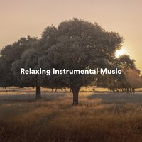 Alpha Centauri - Música para Leer & Easy Listening Background Music & Música Instrumental Maestro