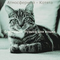 Чувство (Расслабляющие кошки) - блестящий Музыка для кошек