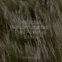 Luz De Luna Silenciosa - Piano para Dormir & Música Relajante para Perros & Academia de Meditação Buddha
