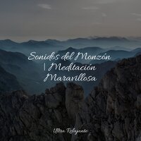 Brisa Suave - Academia de Música con Sonidos de la Naturaleza & Música Zen Relaxante & Musica Relajante Specialistas & Musica Relajante