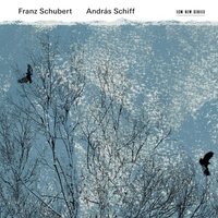 Schubert: Sonate in G-Dur, Op. 78, D. 894 - Allegretto - Andras Schiff & Франц Шуберт