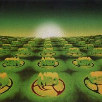 Plage II - Neo