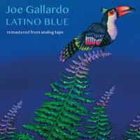 Lady Guajira - Joe Gallardo & Wolfgang Lackerschmid & Anne Haigis & Wolfgang Schmid