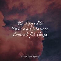 Medium Fire Crackling - Música para Massagem Especialistas & Thunder and Rain Storm & Sounds of Nature White Noise for Mindfulness Meditation and Relaxation