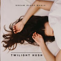 Calming Night Music - Dream Sleep Music