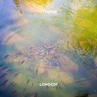 Londom - Synapse