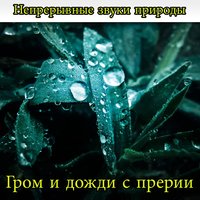 Гром и дожди с прерии - Jamie Llewellyn