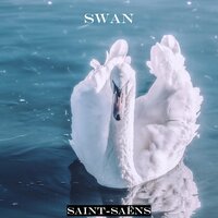 Saint-Saëns: The Swan (Piano Arr. by Roxana Belibou) - Roxana van Beli & Камиль Сен-Санс