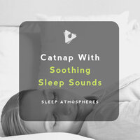 Drowsy Puppy - Sleep Atmospheres & Deep Sleep Meditation