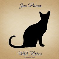 Polka Dots and Moonbeams - Joe Puma