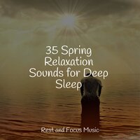 Creek & Rain Medley - Lullaby Babies & Entspannungsmusik & Sleep Waves