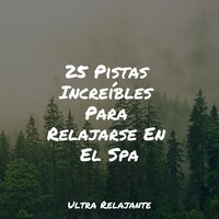 Calma Del Río Que Fluye - Musica para Dormir 101 & Canciones de Cuna para Bebés Acadèmico & Masajes Spas