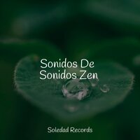 Nubes Suaves - Musica relajante con sonidos de la naturaleza & Meditacao Clube & Academia de Relaxamento e Meditação