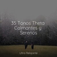 Siesta Junto A La Hoguera - Hipnose Natureza Sons Coleção & Unidad de música zen relajante & Musica Relajante Para Dormir