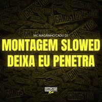 Montagem Slowed Deixa Eu Penetra - Mc Magrinho & Cadu DJ