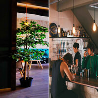 Dashing Piano and Acoustic Bass - Vibe for Trendng - Soft Jazz Playlist