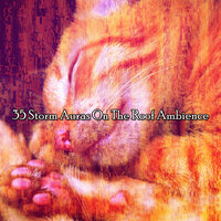 Rivers Rain Source - The Rain Library