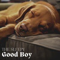 Discernalysis - Music For Dogs With Anxiety