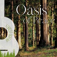 Oasis of Peace - Soothing Relaxation Acoustic Guitar in Nature & Me And My Guitar & Forest Guitar