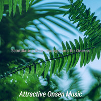 Background for Mineral Baths - Attractive Onsen Music