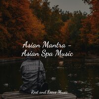 Wind on Long Grass - Study Music & Relaxing Sleep Sound & Serenity Spa Music Relaxation