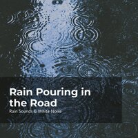 Rain Falling in the Road - Rain Sounds & White Noise & Raindrops Sleep & Sleep Rain