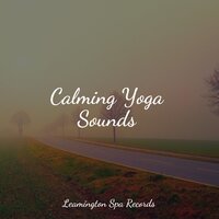 Hush Lullaby - Relaxing Nature Ambience & Tailormade Ocean Waves & Meditation Zen