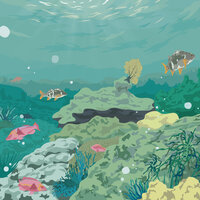 Un Piscis En Un Acuario - EnSecreto