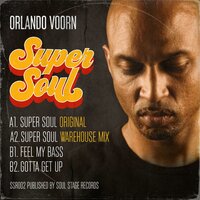 Gotta Get Up - Orlando Voorn