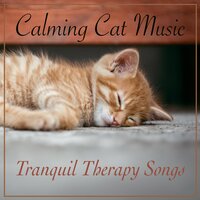 Summer Breeze - Cat Music Dreams & RelaxMyCat
