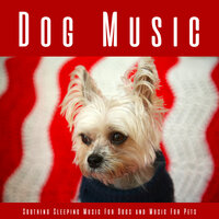 Soothing Music for Dogs - Dog Music