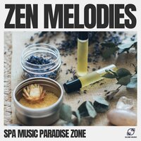 Massage Background Music - Spa Music Paradise Zone