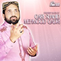 Pochte Kya Ho Madine Se Mein - Qari Shahid Mehmood Qadri